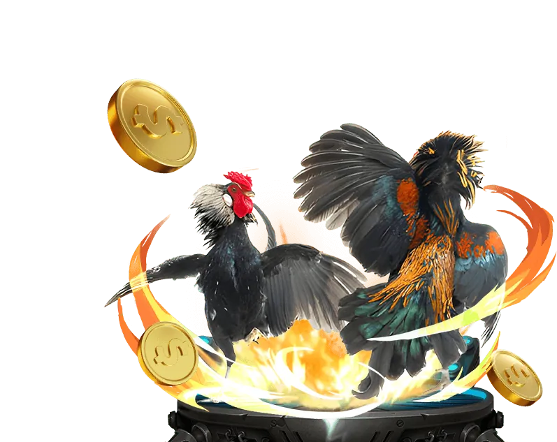 Các chương trình đối tác của nohu82